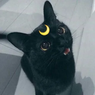 Sticker dark cat (by AstRa OWN) - 0
