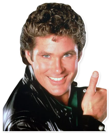 David Hasselhoff David Hasselhoff -