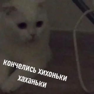 Стикер debosh_cats - 0