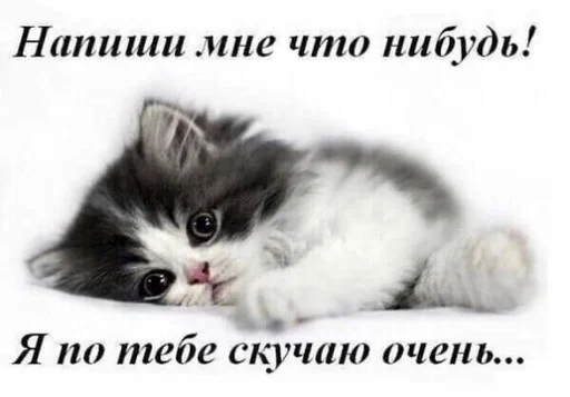 денчик у тебя баба истеричка :: @fStikBot денчик у тебя баба истеричка :: @fStikBot -