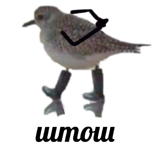 DenZ4Dnem
