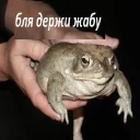 na jabu na jabu - животное