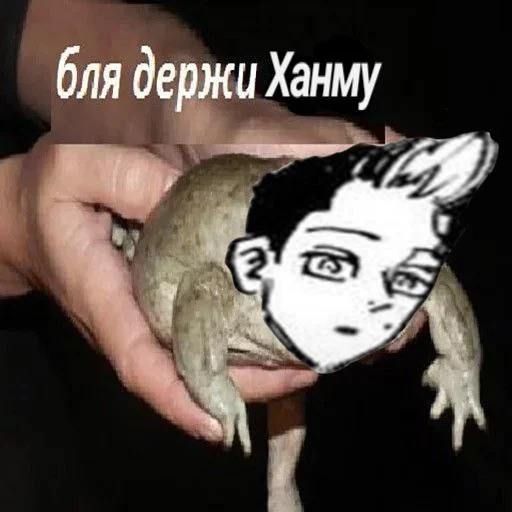 держи ханму держи ханму -