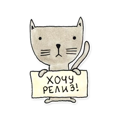 developer developer -