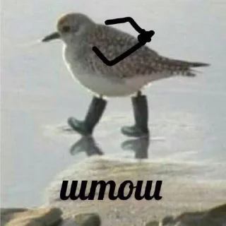 Стикер DRUGS - 5