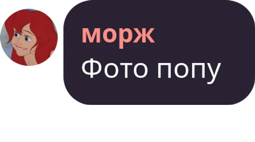 котятушки котятушки -