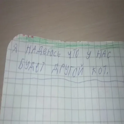 text text handwriting paper