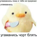 DICKPIC OR DIE by @fStikBot DICKPIC OR DIE by @fStikBot - animal