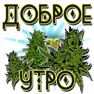 Sticker Мемы - @rasta_memes420 - 8 Sticker Мемы - @rasta_memes420 - 8
