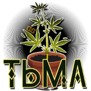 Sticker Мемы - @rasta_memes420 - 5 Sticker Мемы - @rasta_memes420 - 5
