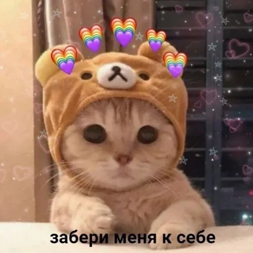 доб(о/е)йджи || @rilyem || by @fStikBot доб(о/е)йджи || @rilyem || by @fStikBot -