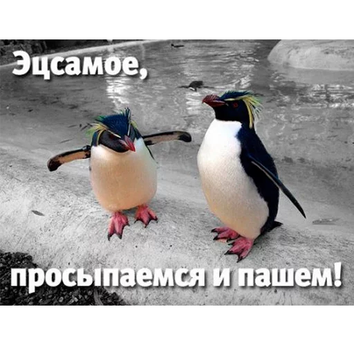 Заработок онлайн @Dohod_vtgbot Заработок онлайн @Dohod_vtgbot -