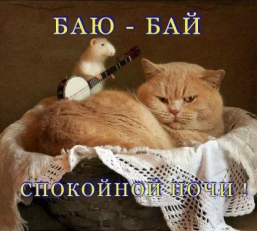 спокойной ночи @rjakasticks спокойной ночи @rjakasticks -