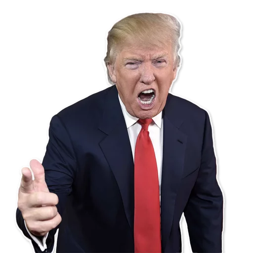Sticker Donald Trump’d - 0