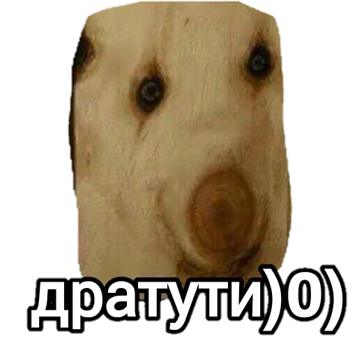 Дратути Дратути -
