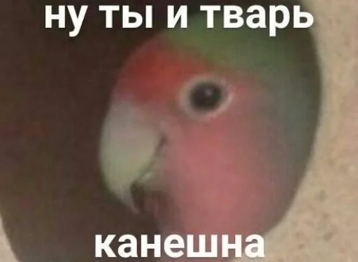 еблуша by @fStikBot еблуша by @fStikBot -