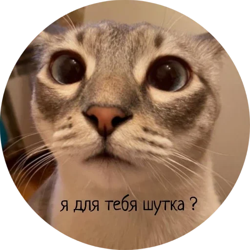 Джеки Чан Джеки Чан -