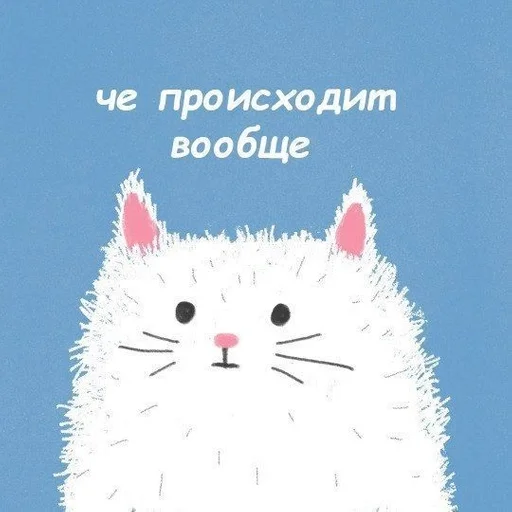 cat text animal