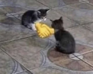 Стикер effed up cats - 8