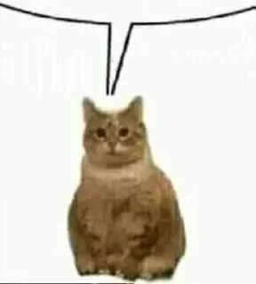 Стикер effed up cats - 9