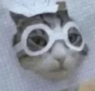 Стикер effed up cats - 6