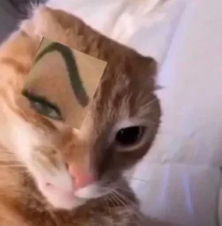 Стикер effed up cats - 10