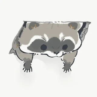 Sticker Енот - 10