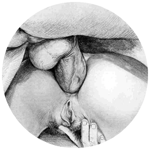 erotic erotic -