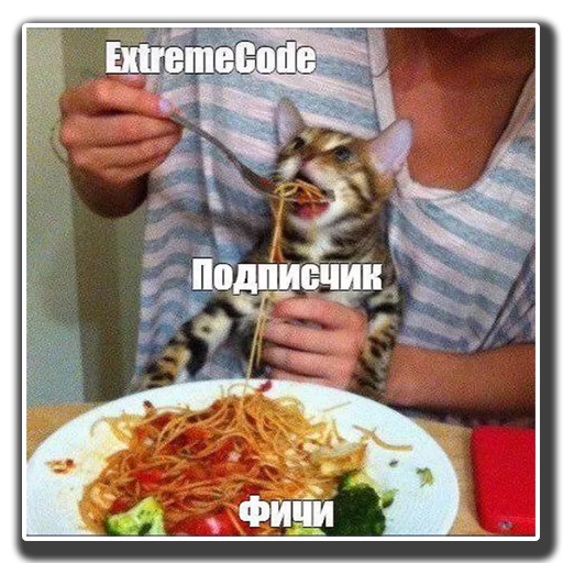 person person food mammal