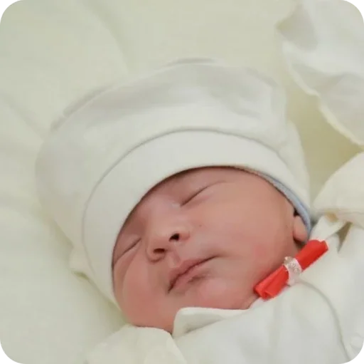 Мuhammad Мuhammad -