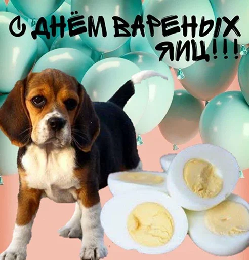 Больше стиков тут: @stikery4 Больше стиков тут: @stikery4 -