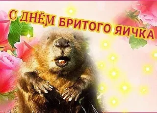 Sticker Больше стиков тут: @stikery4 - 9