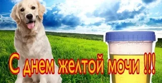Sticker Больше стиков тут: @stikery4 - 6