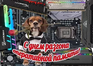 Sticker Больше стиков тут: @stikery4 - 8
