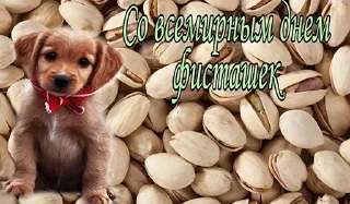 Sticker Больше стиков тут: @stikery4 - 7