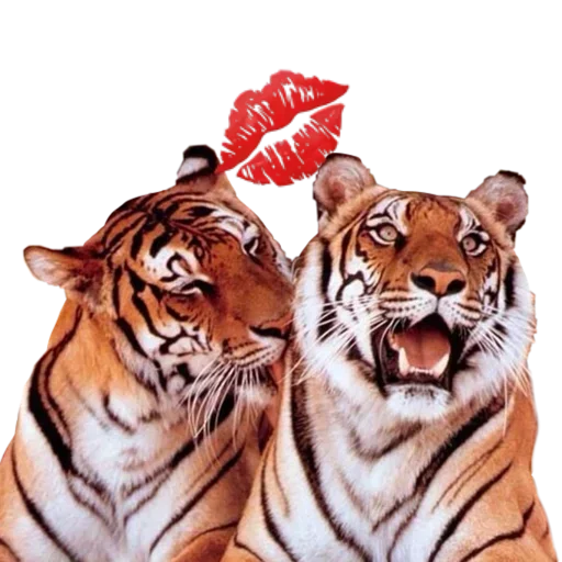 Больше стиков тут: @stikery4 Больше стиков тут: @stikery4 -