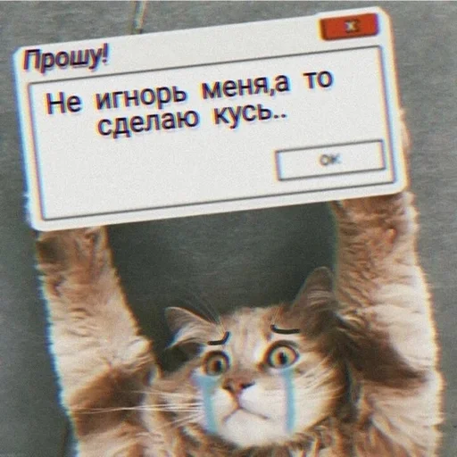 СМС СМС животное кошачьи