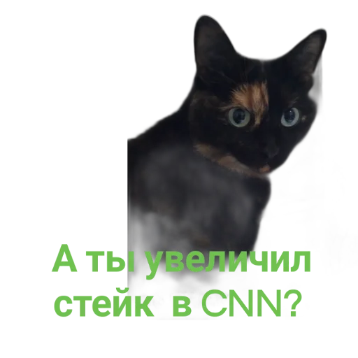 снн клуб by @sticat_app снн клуб by @sticat_app -