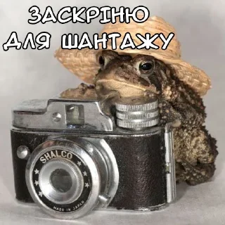 Sticker Файні звірятка 2 (by @gendalfs_titties) - 7