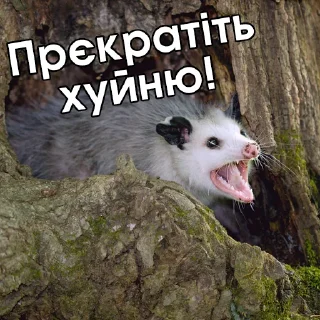 Sticker Файні звірятка 2 (by @gendalfs_titties) - 3