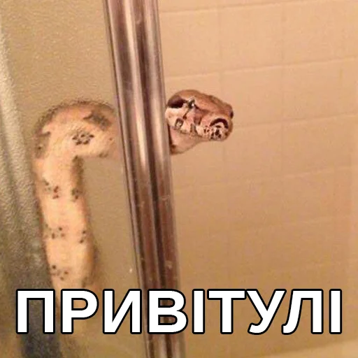 text text shower indoor
