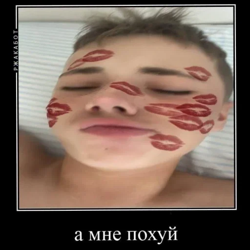 🐽 🐽 -