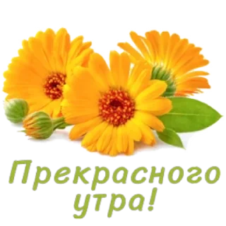 Sticker 🌸 Весенние пожелания @MoiStikiBot - 7