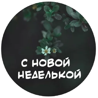 Стикер For My Friends🤍 - 0