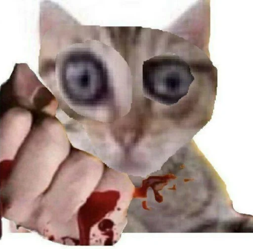 для вп для вп -