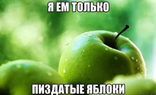пиздатые яблоки пиздатые яблоки -