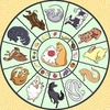 Fruits basket @keiriststicks Fruits basket @keiriststicks -