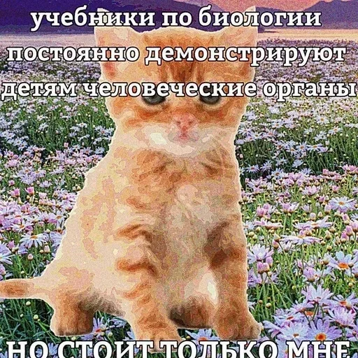 @stiki_tg_nah_canal @stiki_tg_nah_canal -