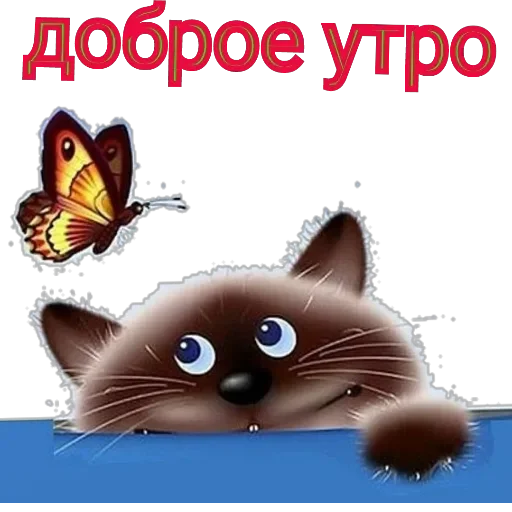утро доброе утро доброе -