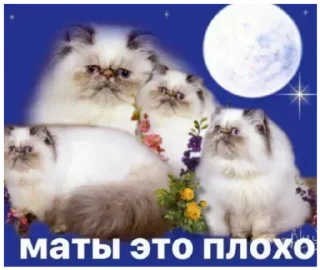 Sticker 💕Стики тут: @sekstick - 2